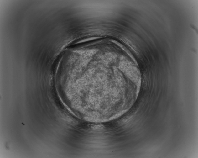 X0000096950355200803071033