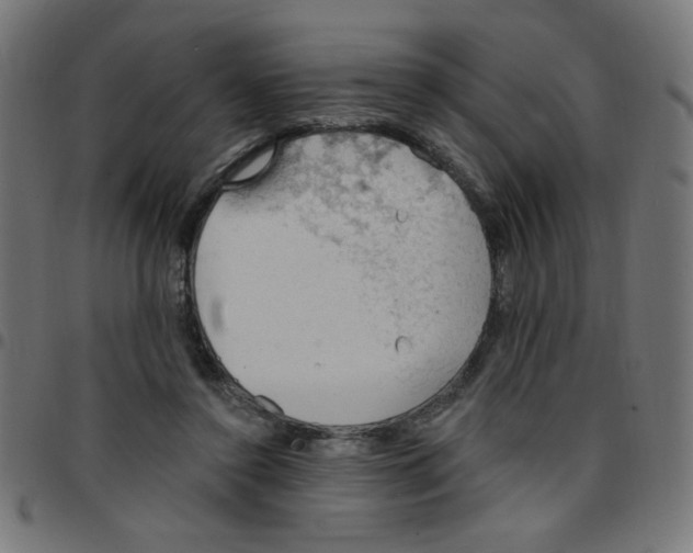 X0000096950356200803071033