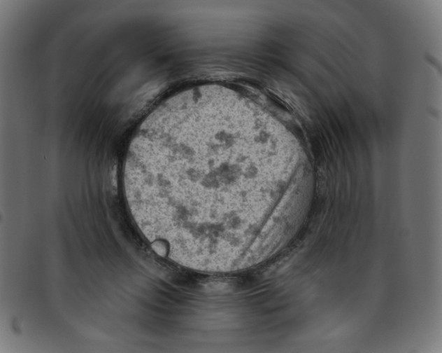 X0000096950358200803071033