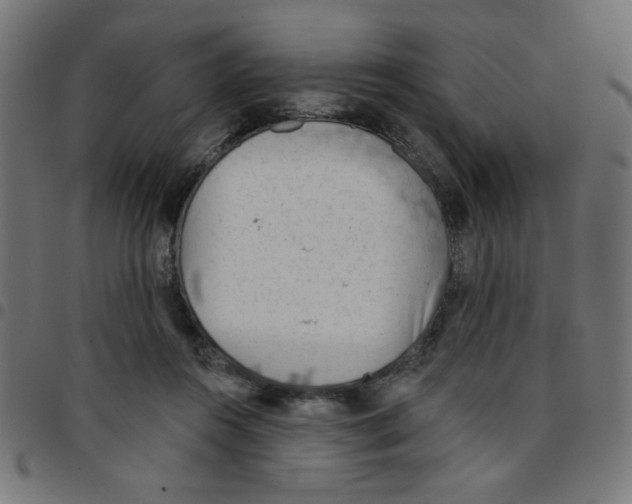 X0000096950360200803071033