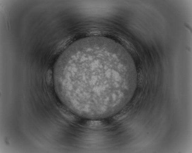 X0000096950361200803071033