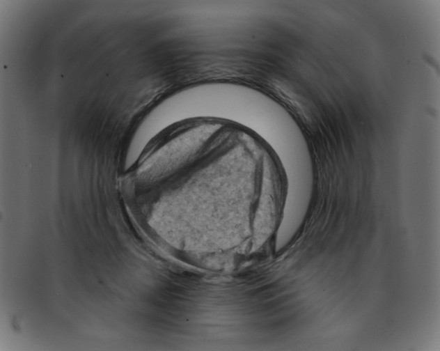 X0000096950362200803071033