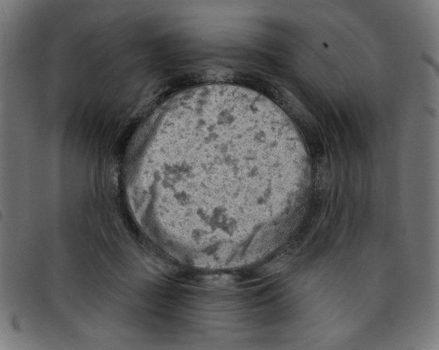 X0000096950363200803071033