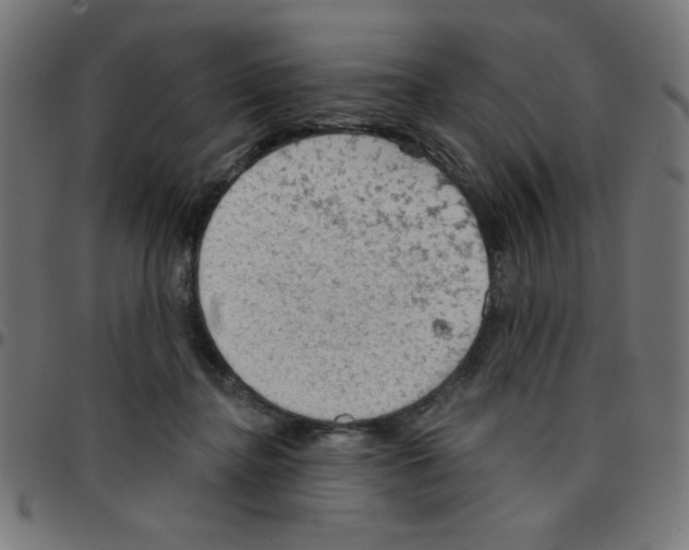 X0000096950364200803071033