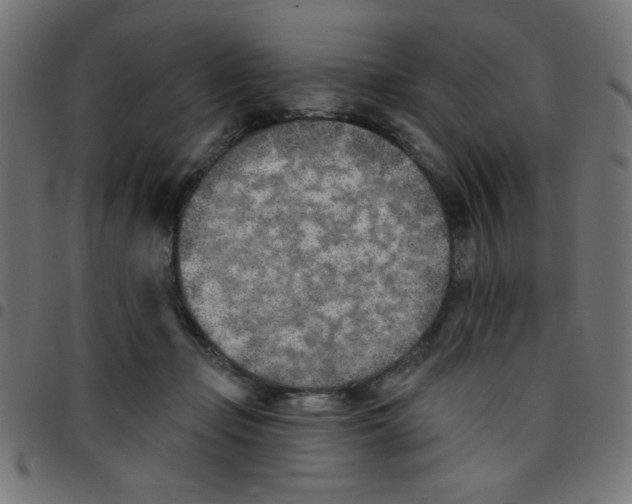X0000096950365200803071033