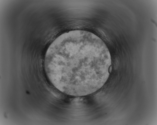 X0000096950366200803071033