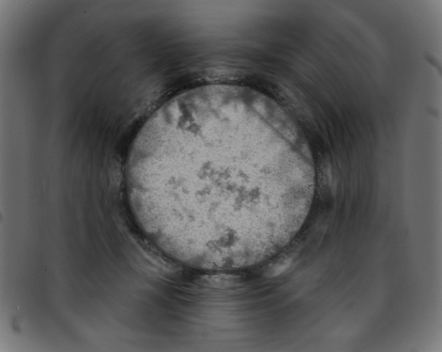X0000096950367200803071033