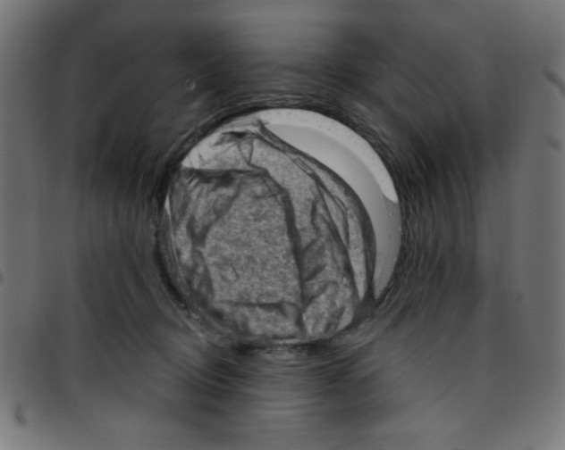 X0000096950370200803071033