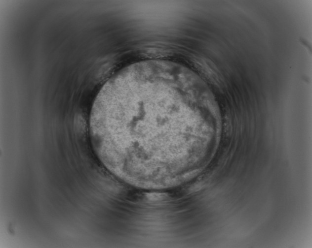 X0000096950371200803071033