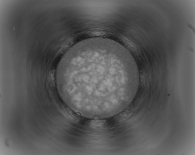 X0000096950373200803071033