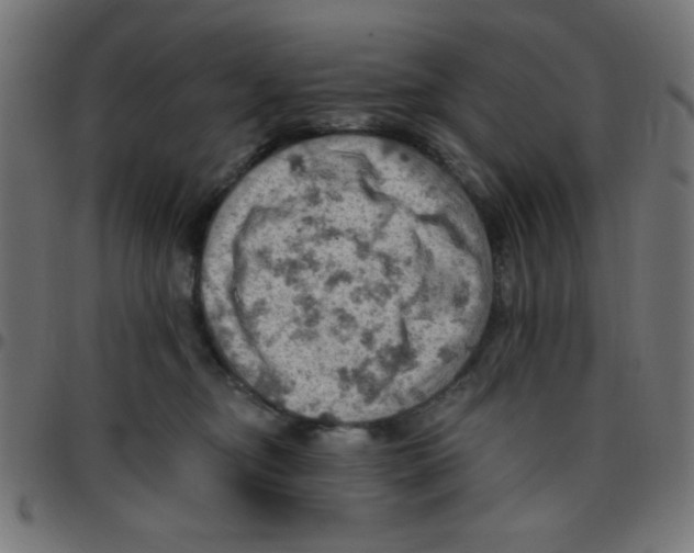 X0000096950374200803071033