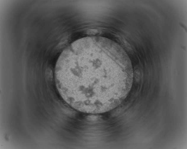X0000096950375200803071033