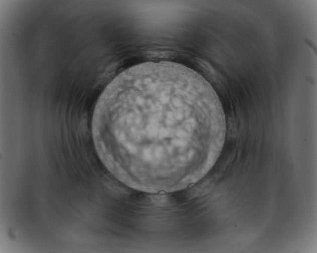 X0000096950377200803071033