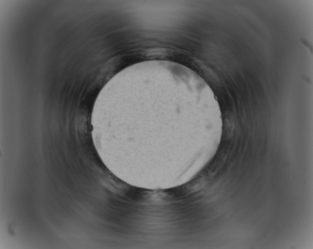 X0000096950379200803071033