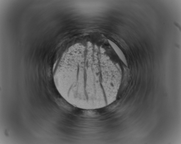 X0000096950380200803071033