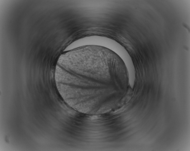 X0000096950382200803071033