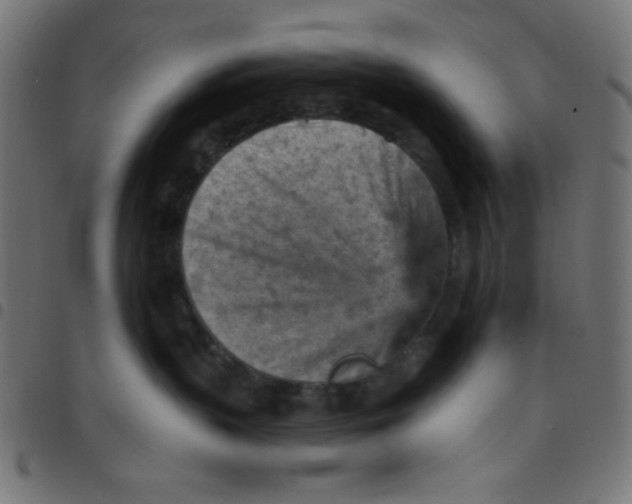 X0000096950383200803071033