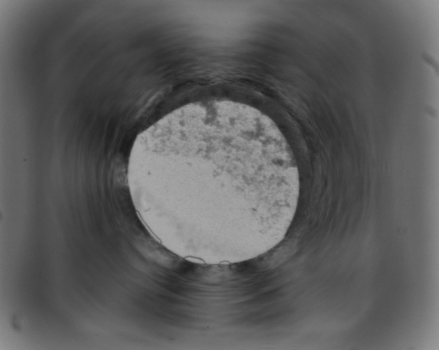 X0000096950384200803071033