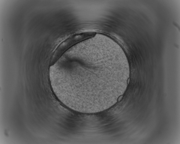 X0000096950385200803071033