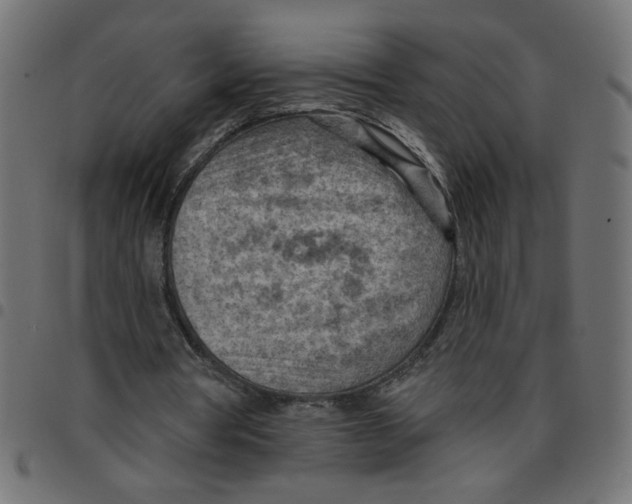 X0000096950386200803071033