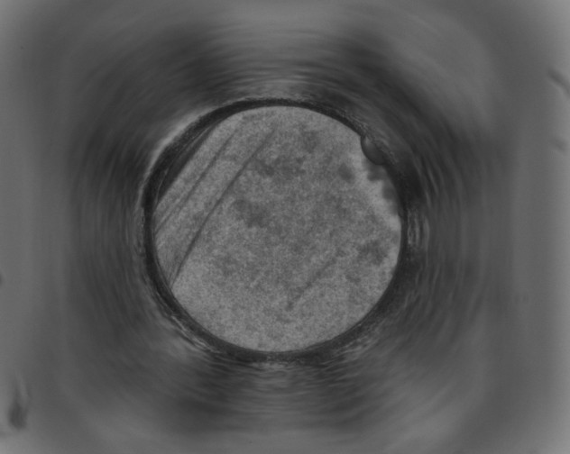 X0000096950388200803071033