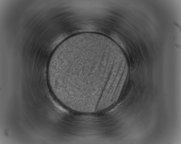 X0000096950389200803071033