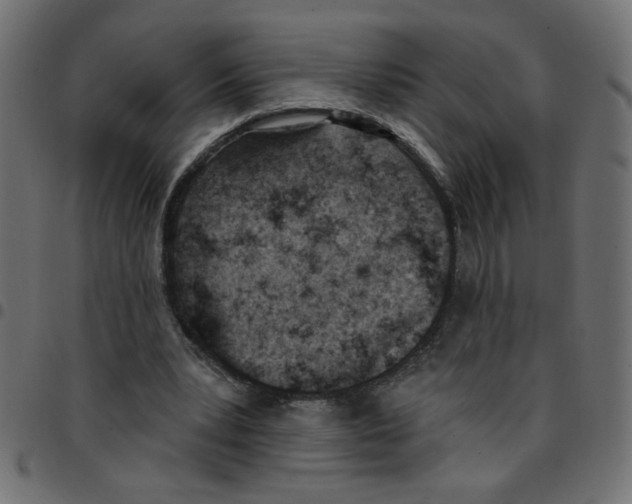 X0000096950391200803071033