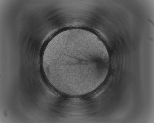 X0000096950392200803071033