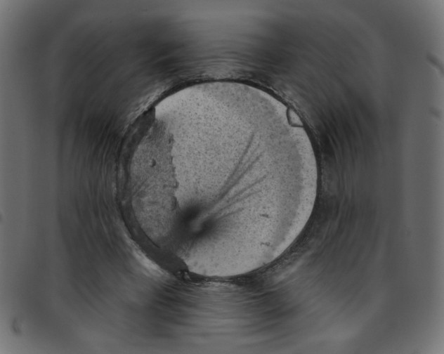 X0000096950393200803071033