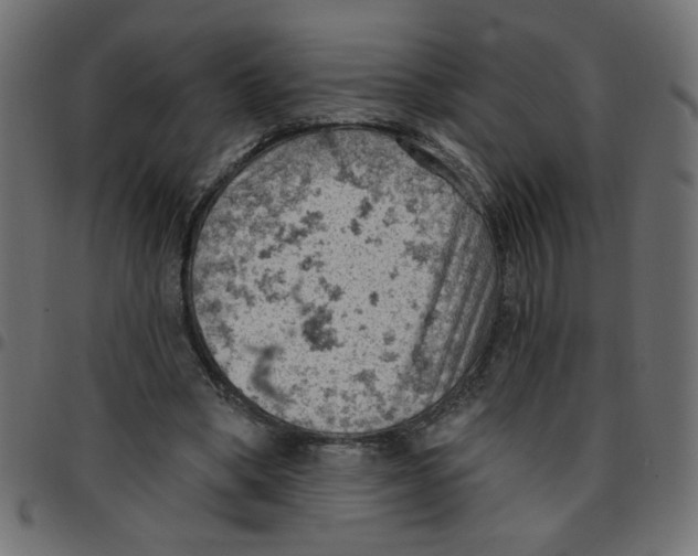 X0000096950394200803071033