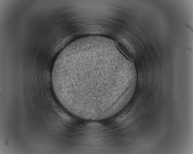 X0000096950397200803071033