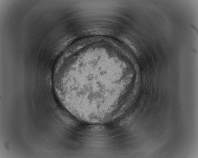X0000096950398200803071033