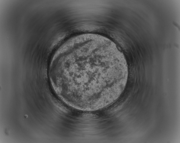 X0000096950399200803071033