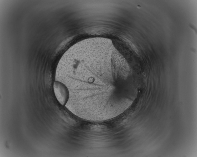 X0000096950400200803071033