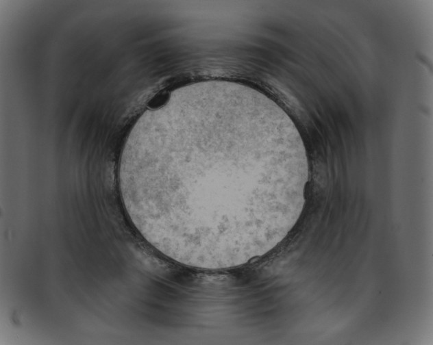 X0000096950401200803071033