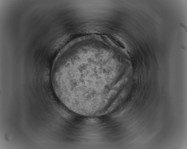 X0000096950402200803071033