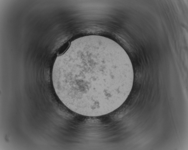 X0000096950403200803071033