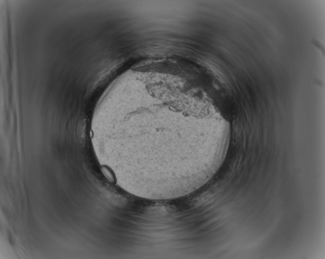 X0000096950404200803071033