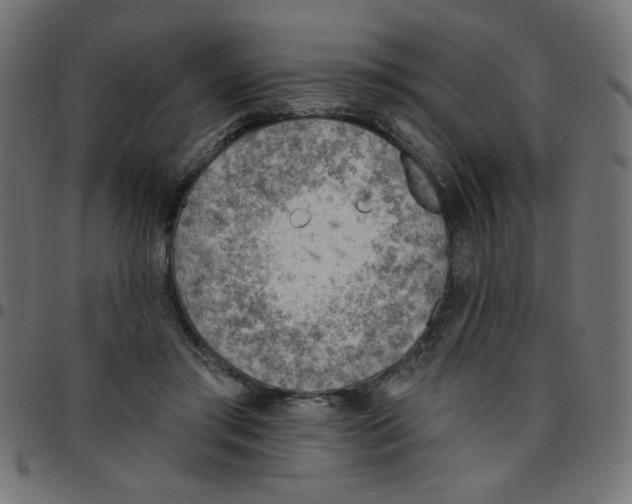 X0000096950405200803071032