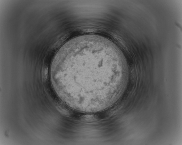 X0000096950406200803071032