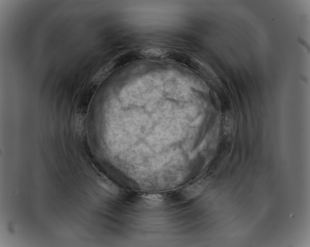 X0000096950409200803071032