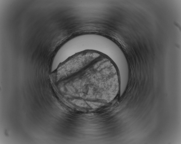 X0000096950411200803071032
