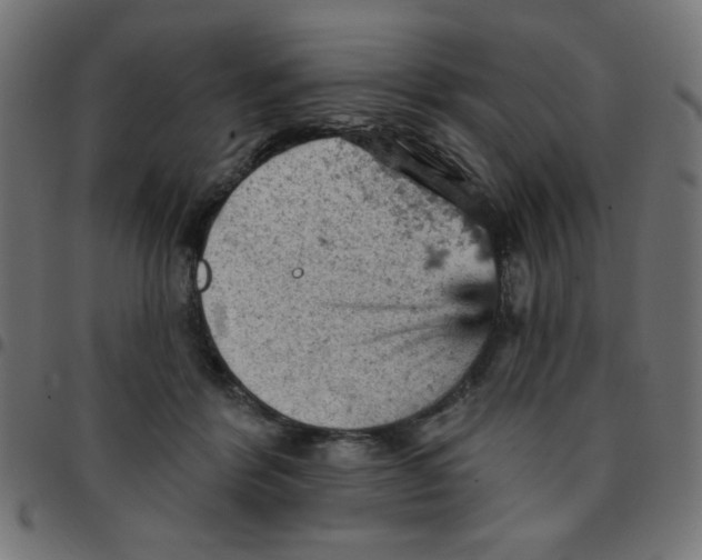 X0000096950412200803071032