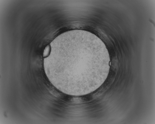 X0000096950413200803071032