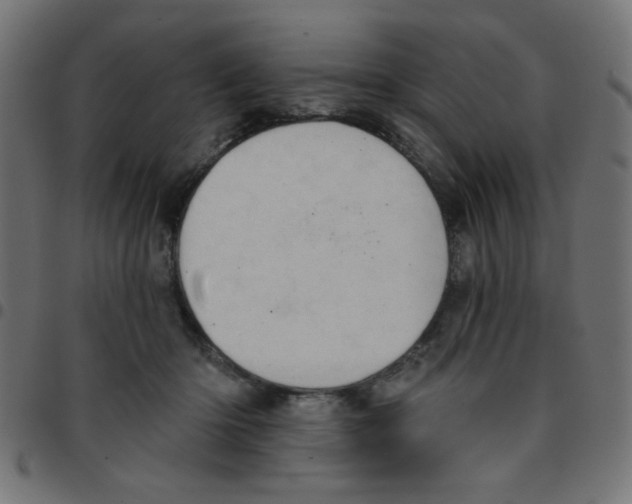 X0000096950414200803071032