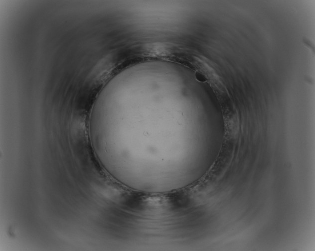 X0000096950415200803071032