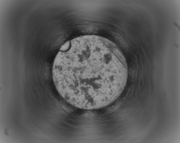 X0000096950416200803071032