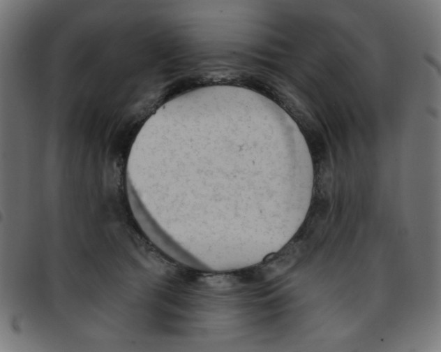 X0000096950417200803071032
