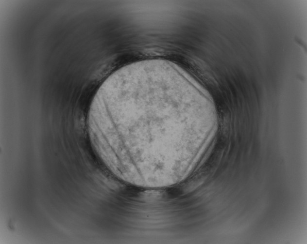 X0000096950418200803071032