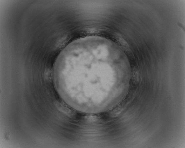 X0000096950419200803071032